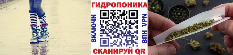 Сколько стоит Алейск A PVP  Меф  Амфетамин  Марихуана  ГАШ 