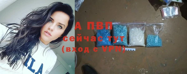 стаф Абдулино