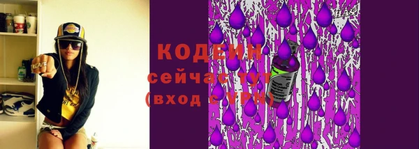 сатива Дмитриев