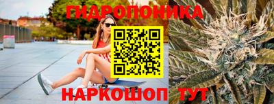 гашик Тулун