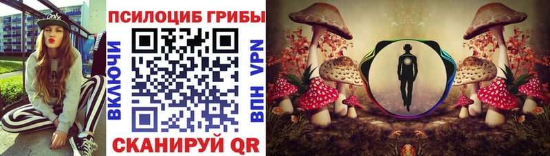 купить  цена  Алейск  Псилоцибиновые грибы MAGIC MUSHROOMS 