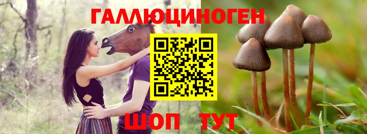 Псилоцибиновые грибы прущие грибы  Вход с VPN  Алейск  Псилоцибиновые грибы Magic Shrooms 